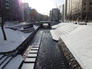 12月13日の雪の降り積もった南3条の様子