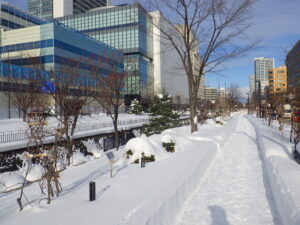 片側除雪された北1条東側の様子