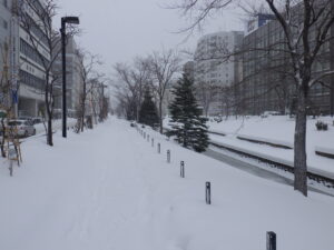 1月4日、雪の積もった南1条の園路の様子