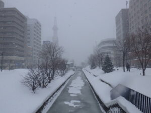 2022年1月4日新しい年を迎えた南2条の様子