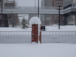 1月14日の彫刻作品たけくらべの周りの積雪の様子