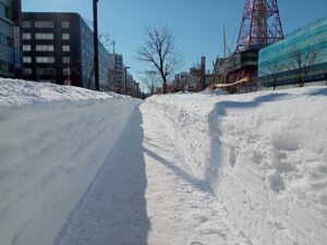2月5日の北1条の園路の様子