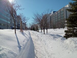 2月5日の南2条の様子