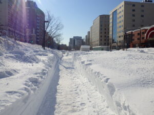 2月11日の狸二条広場とトイレの様子