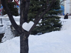 2月4日に南1条のy間防止の木に置かれていたハート形の雪の画像