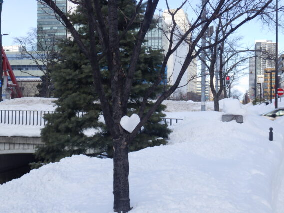 「ハートの雪」の画像