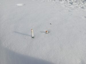 2月5日に北2条ブロックの雪に差し込まれていたたばこの吸い殻の画像
