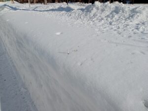 2月5日に北2条ブロックの雪に差し込まれていたたばこの吸い殻の画像