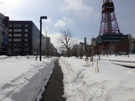 「春はどこまで来ているのでしょうか、今日の園内」の画像