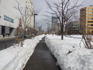 3月17日の北2条の園路の様子