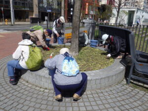 4月27日の活動で円形枡の除草を行うお助け隊1