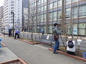 4月12日に冬囲い外しの活動をする植物ボランティア1