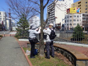 4月19日に樹名板の取り付けを行う植物ボランティア7