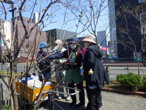 4月19日に樹名板の取り付けを行う植物ボランティア2