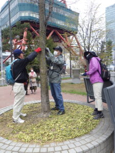 4月26日の活動で樹名板の取り付けを行う植物ボランティア1