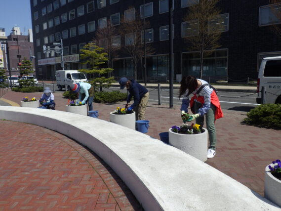 「花くらぶも花植えで活動開始」の画像