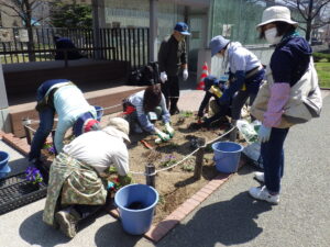 4月21日に花壇に花を植え込む花くらぶボランティア2