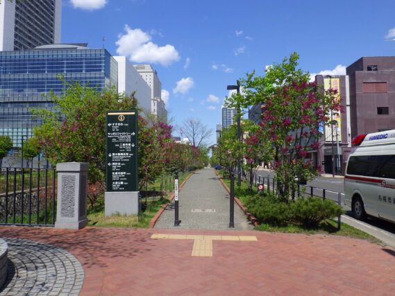 「今日のライラック情報」の画像