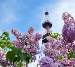 ライラック投稿22 1 創成川公園