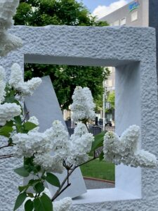 ライラック投稿写真「マダムフローレントステップマン（フレンチライラック）」