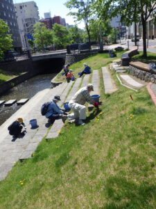 5月18日にタンポポなどの除草をるするお助け隊1