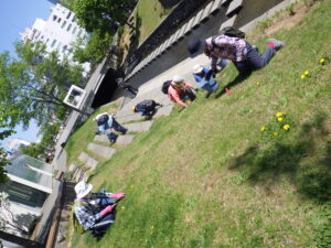 5月18日にタンポポなどの除草をるするお助け隊2