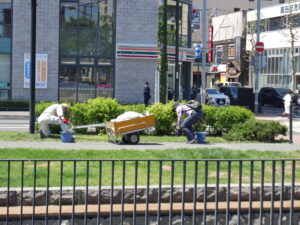 5月18日にタンポポなどの除草をるするお助け隊4