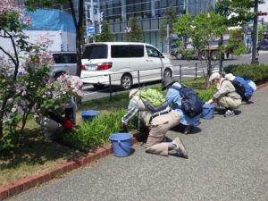 5月25日にヘメロカリス花壇の除草の活動をするお助け隊1