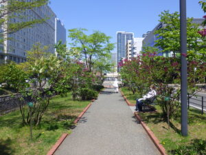 5月10日の北2条ライラックウォークの様子2