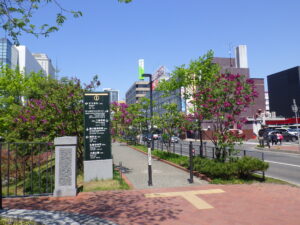 5月10日の北1条ライラックウォークの様子