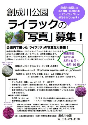 「「ライラックの写真募集」 5月16日から」の画像