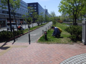 5月6日に活動を初めた創成ボランティアの活動の様子1