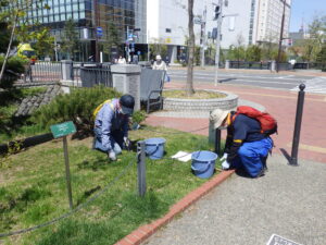 5月6日に活動を初めた創成ボランティアの活動の様子3