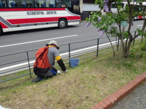 5月20日に除草などの活動をする創成ボラ1