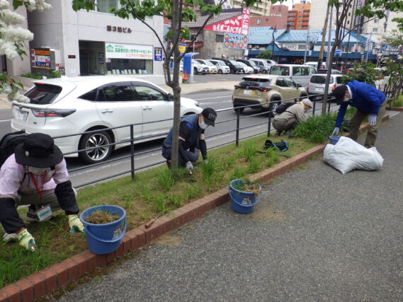 「今週の公園ボランティア」の画像
