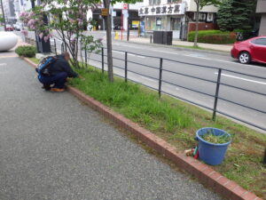 5月24日にヘメロカリス花壇の除草の活動をする植物ボランティア3