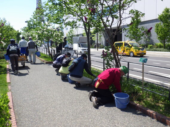 「今週の公園ボランティア」の画像