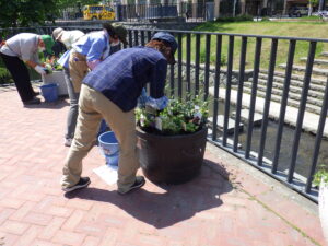 5月26日に狸二条広場のコンテナに花苗を植えこむ花クラブのメンバー5