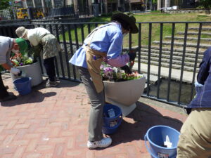 5月26日に狸二条広場のコンテナに花苗を植えこむ花クラブのメンバー6