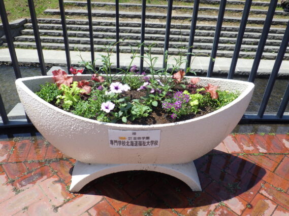 「吉田学園さん寄贈の花を植え込みました」の画像