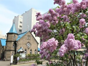 ライラック投稿謝意sン「ヒアキンシフローラライラックエスタースティリー」