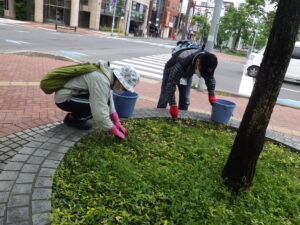 6月1日に円形ますの除草作業をするお助け隊