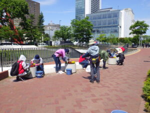 6月9日に大通コンテナの花がら摘みをする花くらぶ
