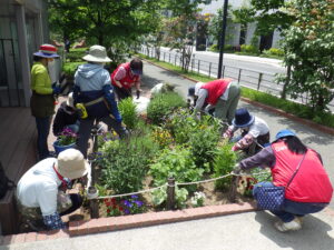 6月9日に花壇の手入れをする花くらぶ