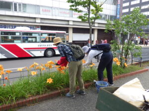 7月13日の活動でヘメロカリスの花がら摘みをするお助け隊