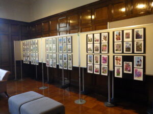 ライラック写真展の写真展示の様子1