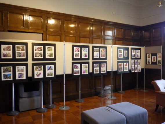 「札幌市資料館にてライラック写真展開催」の画像