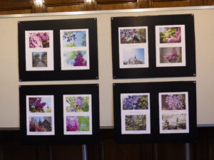 ライラック写真展に展示している投稿写真2