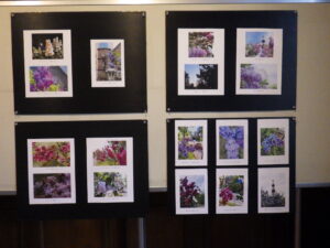 ライラック写真展に展示している投稿写真3