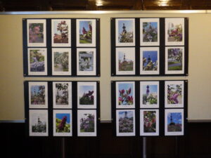 ライラック写真展に展示している投稿写真5